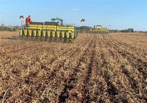 Guerra E Juros Altos Rea De Soja Pode Crescer Menos Na Safra