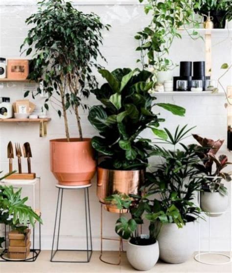 Lovely Indoor Plants Decor Ideas – StyleSkier.com