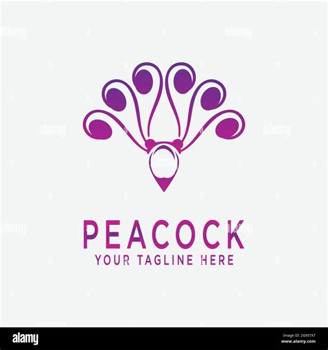 Simple Minimalist Peacock Logo Template Illustration Peacock Stock