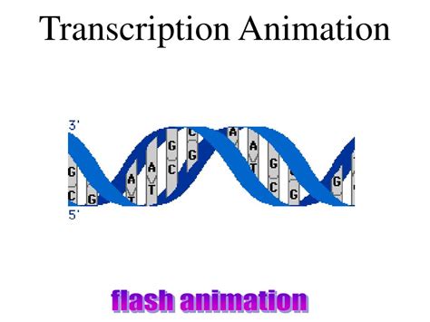 PPT - RNA PowerPoint Presentation, free download - ID:3958488