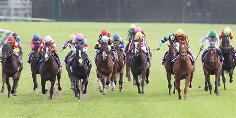 【皐月賞】ファントムシーフ1冠目奪取へ／今週の注目レース 競馬ライブ速報 日刊スポーツ