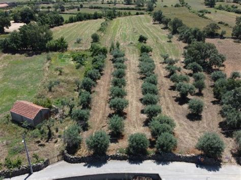 Terrenos Em Idanha A Nova Castelo Branco Idealista