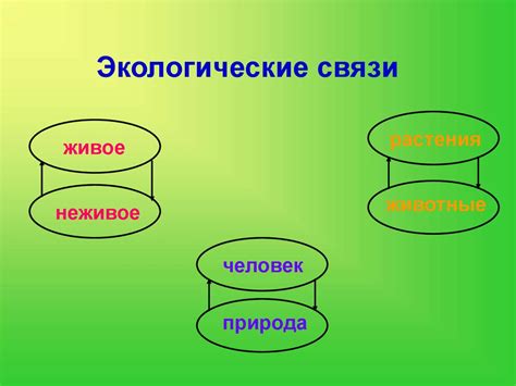 Окружающая среда презентация онлайн