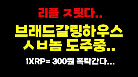 ㅈ됫다 리플 대표 긴급도주중 긴급체포명령 떨어졋다 업비트 상장폐지중 Xrp Youtube