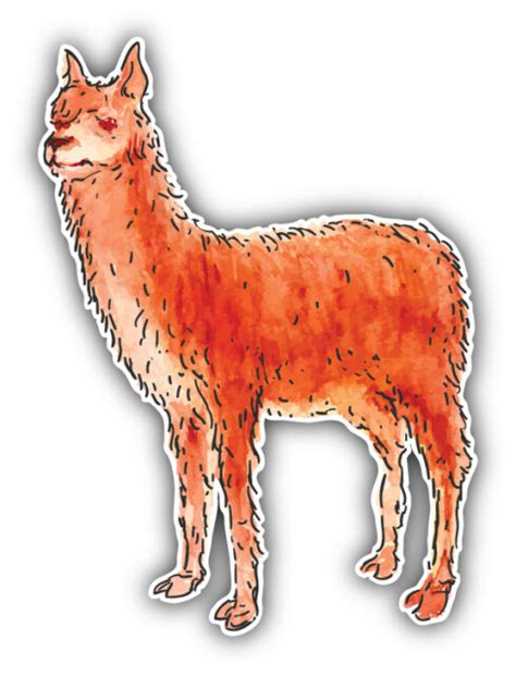 Watercolor Lama Car Bumper Sticker Decal 4 X 5 Ebay