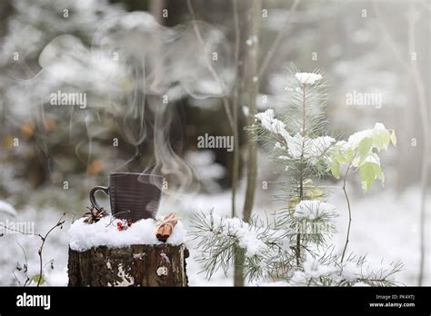 A Cup With A Hot Drink In The Winter Forest Hot Cocoa With Cinn Stock Photo Alamy