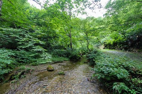 Raina S Japan Travel Journal Nature And Hot Springs At Naruko Onsen