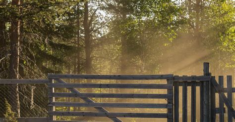 Wooden Gate in Forest · Free Stock Photo