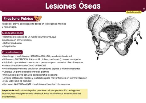 guía practica de primeros auxilios en la unides PPT