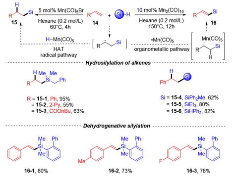 Scheme 6 Mn Catalyzed Ligand Tuned Divergent Silylations Of Alkenes