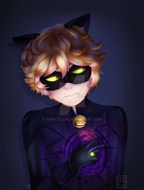 Miraculous Ladybug Chat Noir Fan Art