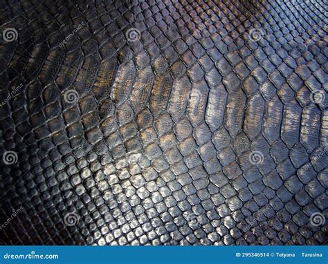 Genuine Python Snakeskin Leather Snake Skin Texture Background