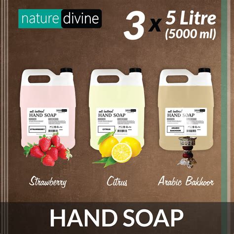 Pack Of 3 Antibacterial Hand Wash Hand Soap Strawberry Citrus Lemon Arabic Bakhoor 5 Litre