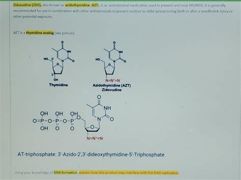 Solved Knowing the microbial growth curve is important to | Chegg.com