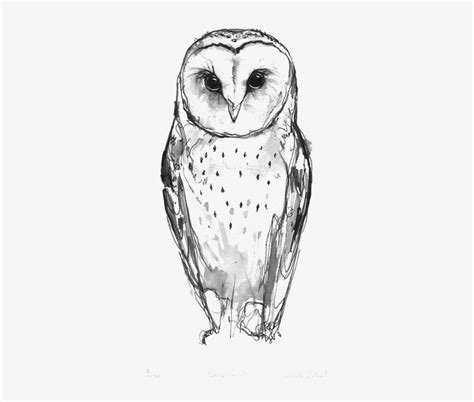 Owl Tattoo Drawings, Owls Drawing, Bird Drawings, Animal Drawings, Art ...