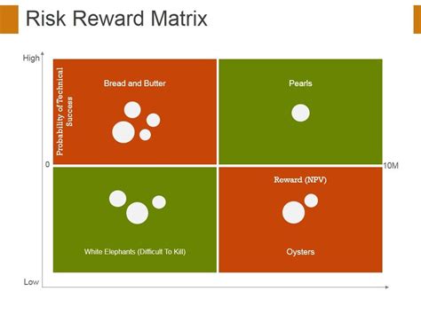 Risk Reward Matrix Template 2 Ppt PowerPoint Presentation Portfolio