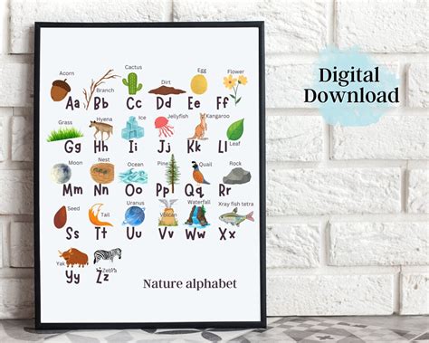 Alphabet Poster for Schoolhomeschool. Educational Wall Poster - Etsy