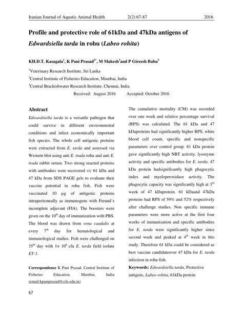 Pdf Profile And Protective Role Of Kda And Kda Antigens Of