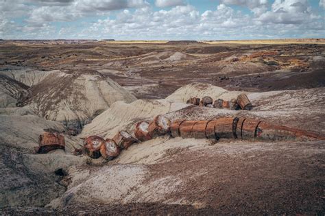 ULTIMATE GUIDE TO PETRIFIED FOREST NATIONAL PARK - Smilkos Lens