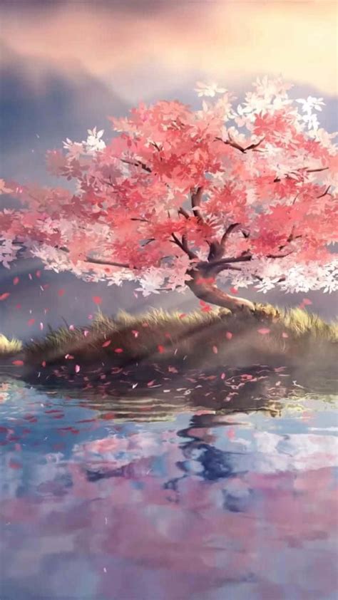 100 Anime Cherry Blossom Wallpapers Wallpapers