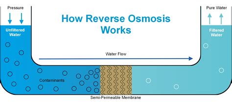 What Is Reverse Osmosis Ro Man Water Filtration