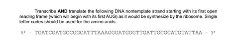 Solved Transcribe AND Translate The Following DNA Chegg