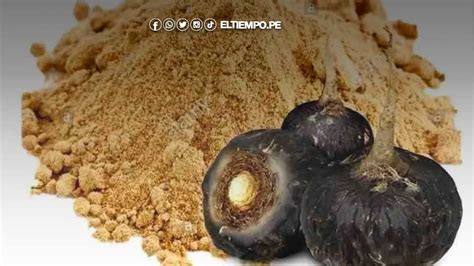 Beneficios De La Maca Negra Y C Mo Prepararla