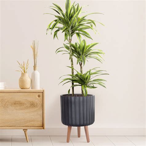 IDEALIST Lite Modern Ribbed Black Cylinder Planter With Legs Round