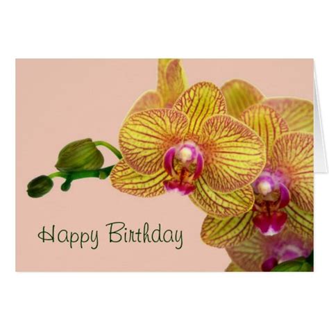 Happy Birthday Orchids Greeting Card Zazzle