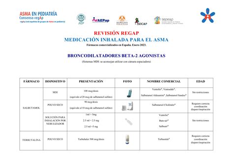 Revisión Regap Inhaladores Y Cámaras Senp Sociedad Española De