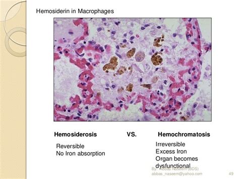 pathology ospe revised edition
