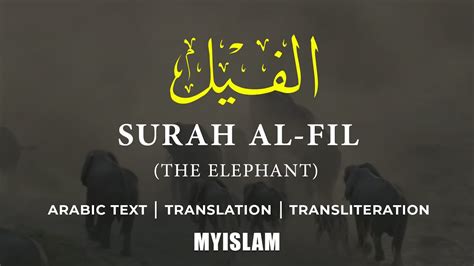 Detail Surat Al Fiil Ayat 1 5 Koleksi Nomer 24