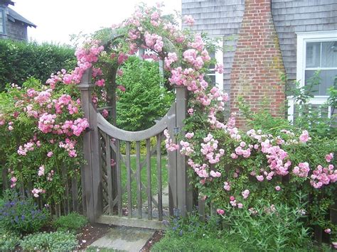 Rose Gate With Trellisgorgeously Bright Pink Roses Have Been Trained