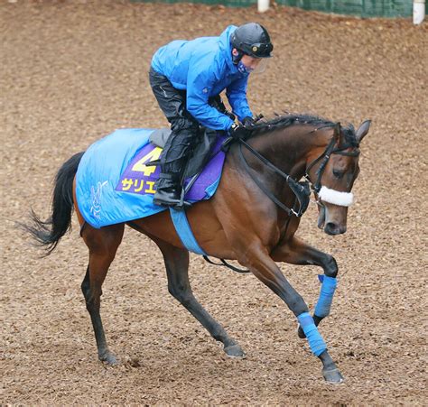 【天皇賞・春】サリエラ、牝馬71年ぶり2頭目制覇へ 国枝調教師が「チャレンジ」するワケ Umatoku 馬トク