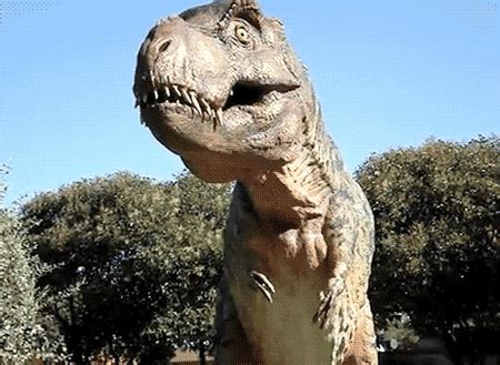 T Rex GIFs - Find & Share on GIPHY