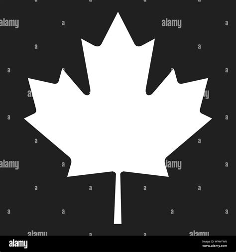 Maple Leaf Grey On Black Stock Photo Alamy