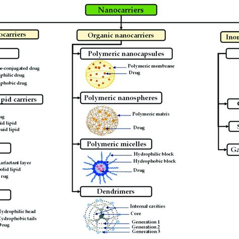 Schematic Representation Of Different Types Of Nanocarriers And Their