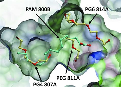 Iucr Controlled Dehydration Structural Flexibility And Gadolinium