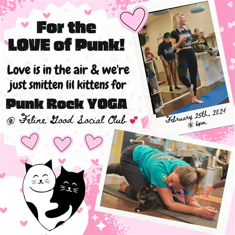 Punk Rawk YOGA At Feline Good Social Club Cat Lounge In February Is All