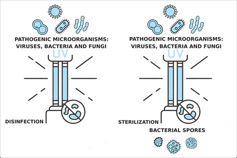 DID YOU KNOW THE DIFFERENCE BETWEEN DISINFECTION AND STERILIZATION ...