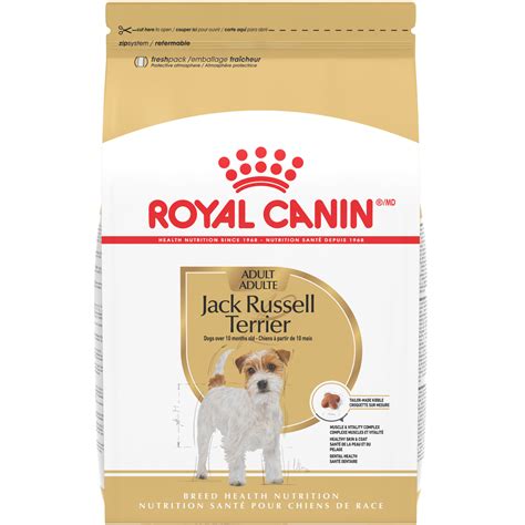 What Is The Best Dog Food For Jack Russells? | Pets Plus