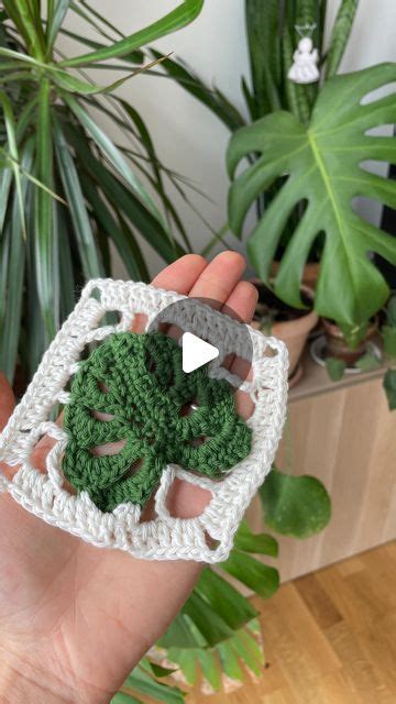 Kristine On Instagram Upgraded My Crochet Monstera Leaf To A Granny