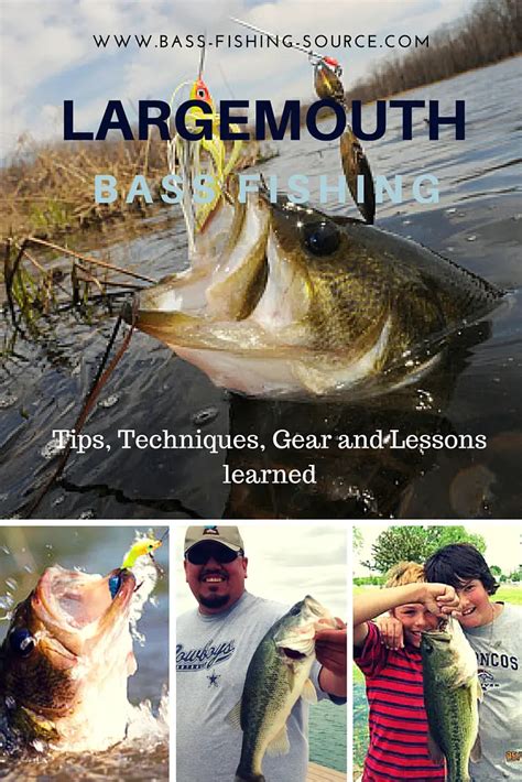 Largemouth Bass Fishing - Find more, catch more with the Source