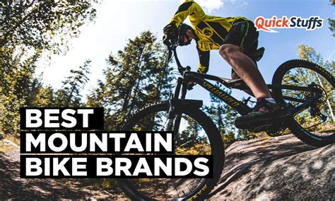 mountain bike brands  top mtb companies