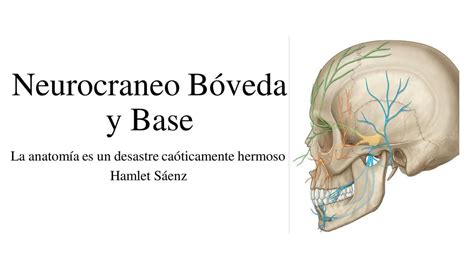 Neurocraneo Bóveda Y Base Cráneo Neurólogo Udocz