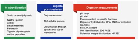 Effect Of Fractionation And Processing Conditions On The Digestibility