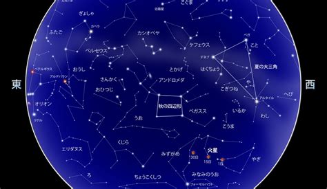 星座の検索結果 Yahoo きっず検索