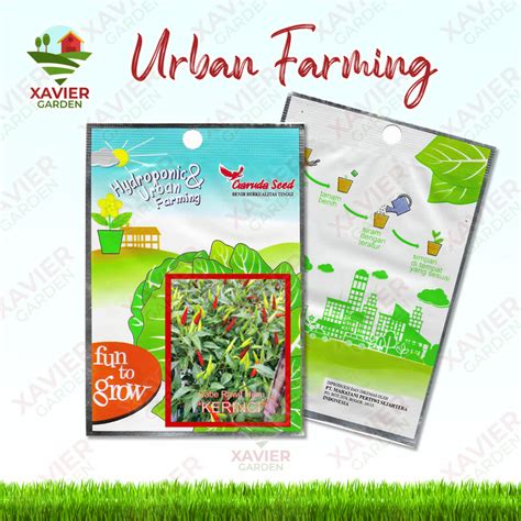 Jual Benih Bibit Cabe Rawit Hijau Kerinci Urban Farming Garuda Seed