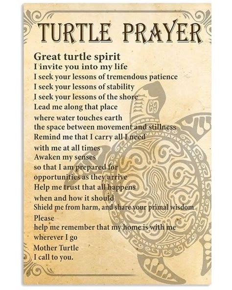 Turtle Prayer Prayers Animal Spirit Guides Turtle Spirit Animal