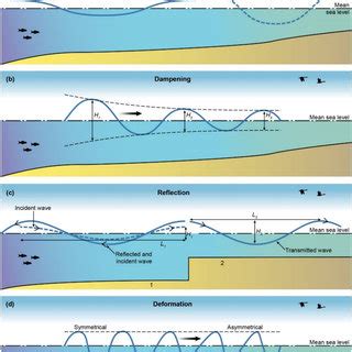 Conceptual Mechanisms Influencing The Propagation Of Tidal Waves In